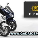 GADAI BPKB MOTOR PROSES EXSPRESS BUNGA RINGAN